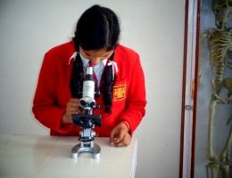 Lab Practical