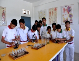Labs