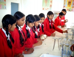 Lab Practical