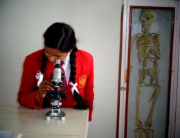 Lab Practical