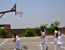 Sports