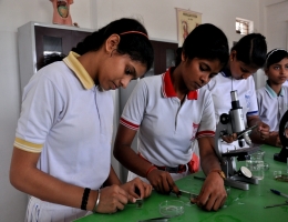 Labs