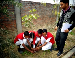 Natural Activities